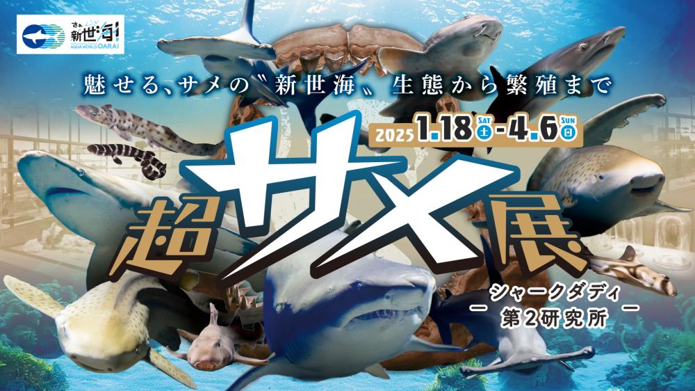 4/6（金曜日）までアクアワールド大洗で「超サメ展」開催中！サメ研究の集大成ともいえる特別企画をお見逃しなく！を見る