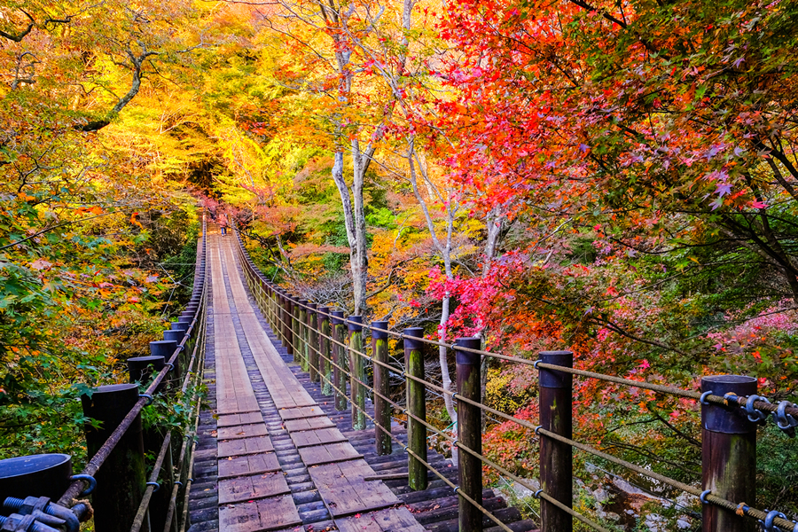 紅葉のいばらき県北の里山を満喫する旅－プランＡ－