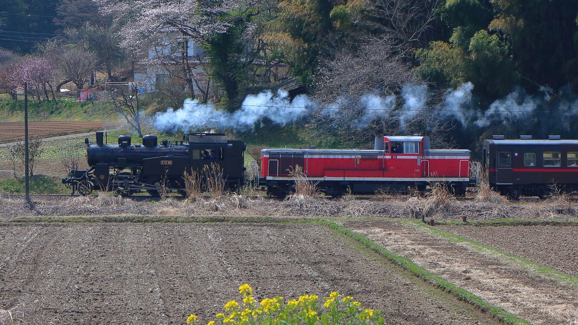 SL・DL画像