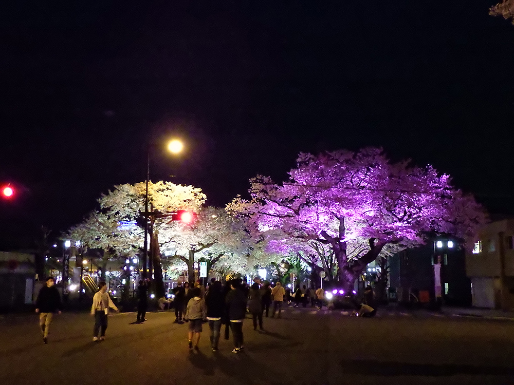 第59回日立さくらまつりプレイベント