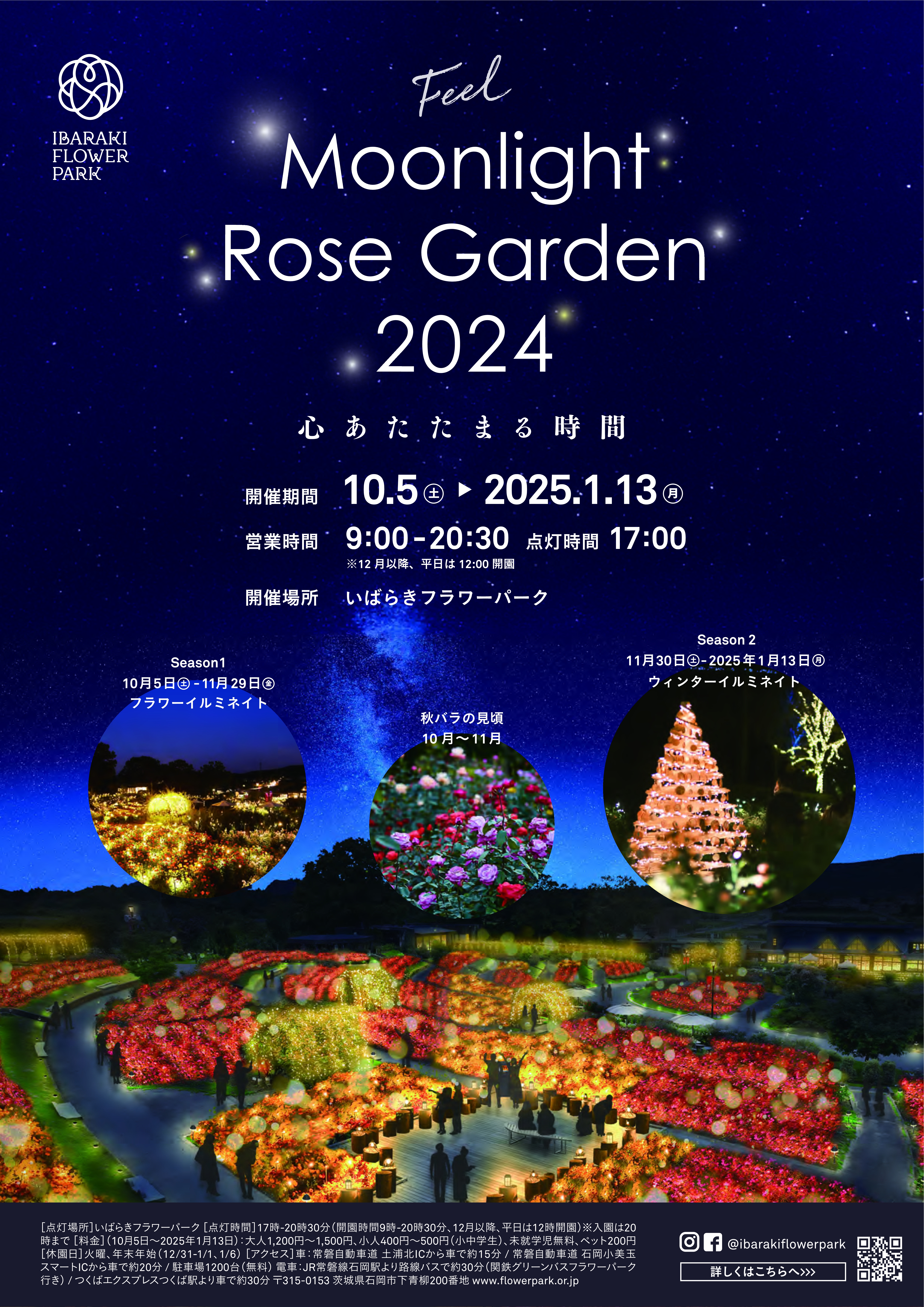 Moonlight-Rose-Garden2024