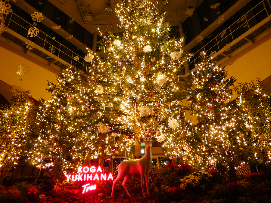 KOGA YUKIHANA Tree