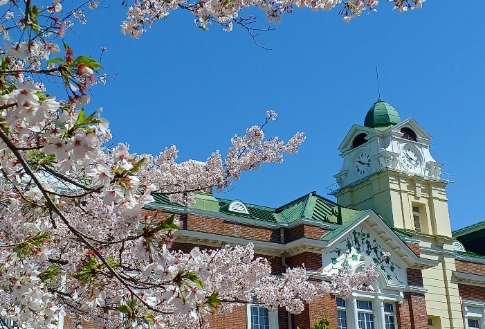 牛久シャトー桜まつり 