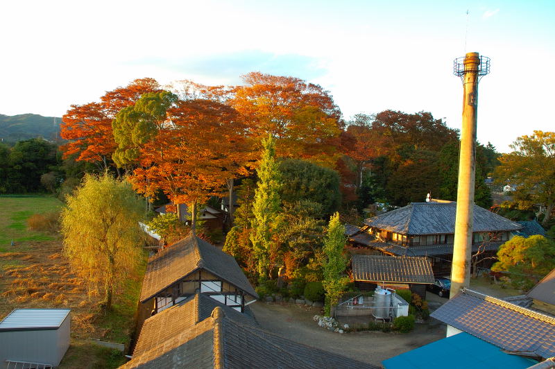 庭園味噌蔵 たつご味噌001