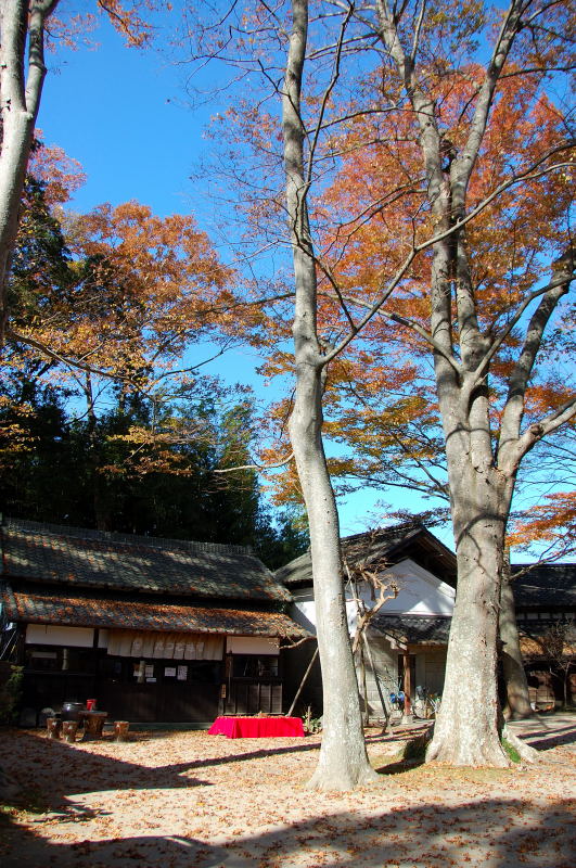 庭園味噌蔵 たつご味噌 | 観光いばらき公式ホームページ