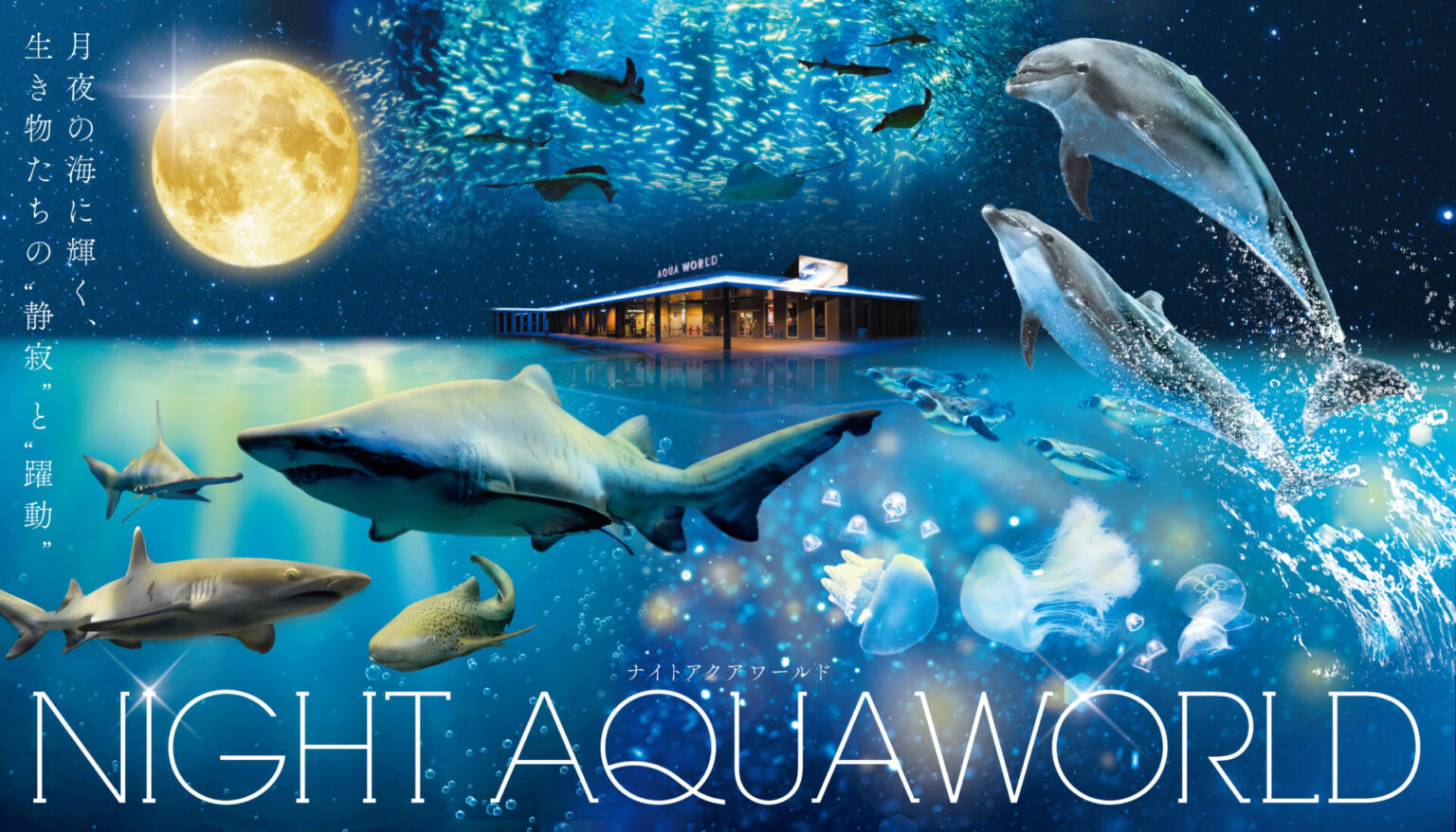 大洗水族館_NIGHTAQUAWORLD