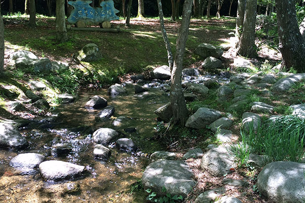 千波公園せせらぎ広場(水戸市)_水遊び