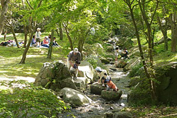 涸沼自然公園(茨城町)_水遊び