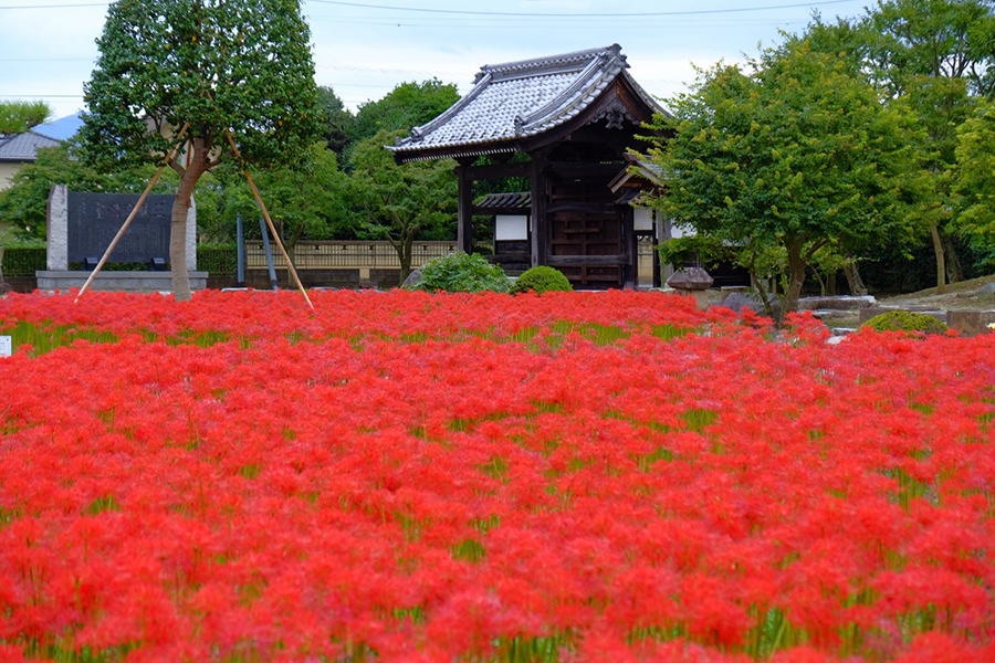 東睿山 千妙寺