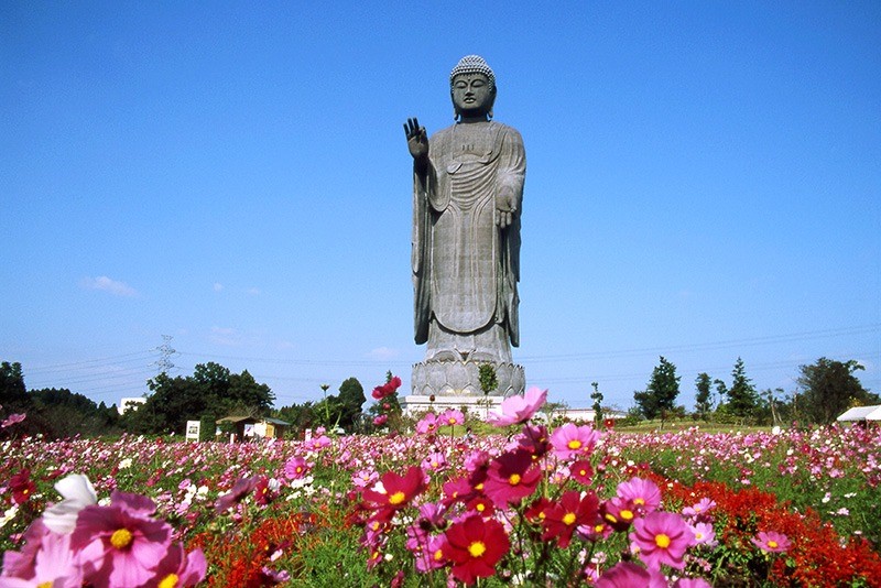 11_茨城のチカラ_牛久大仏