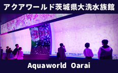 アクアワールド茨城県大洗水族館2024