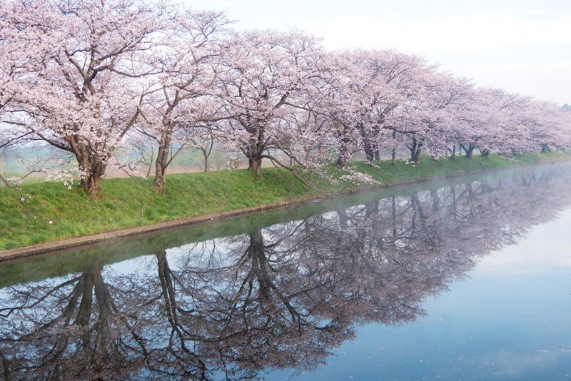 08_茨城のチカラ_福岡堰