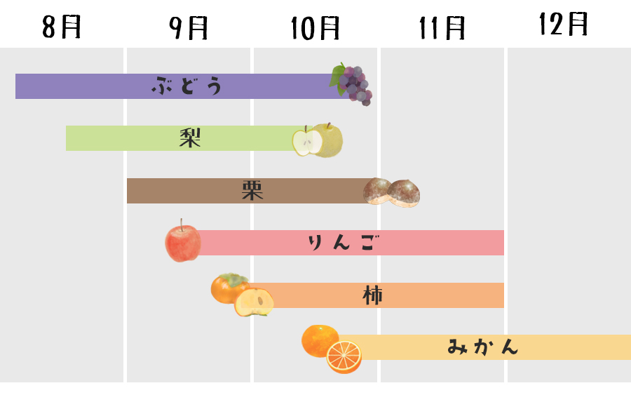 果樹狩り_秋_スケジュール