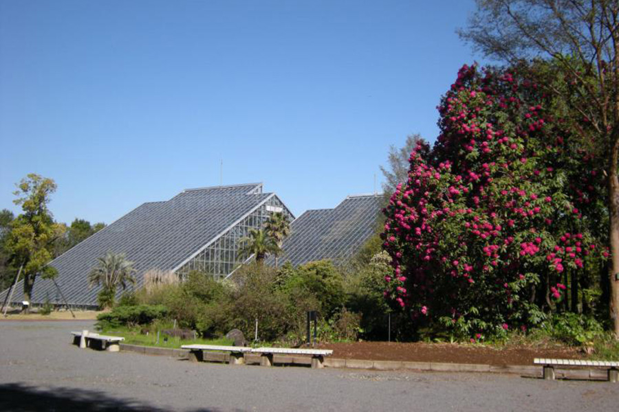 国立科学博物館 筑波実験植物園(つくば植物園)