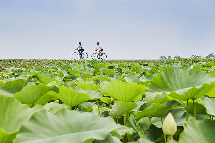 定番サイクリング_蓮田