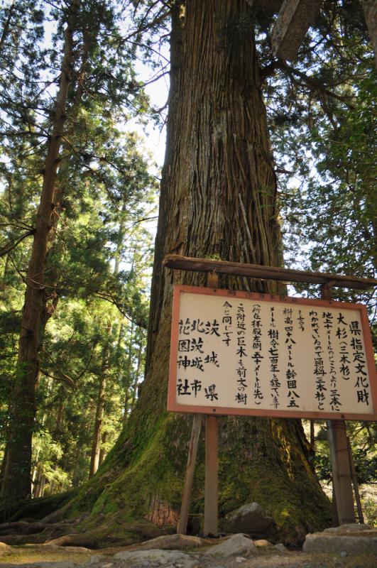 花園神社_2