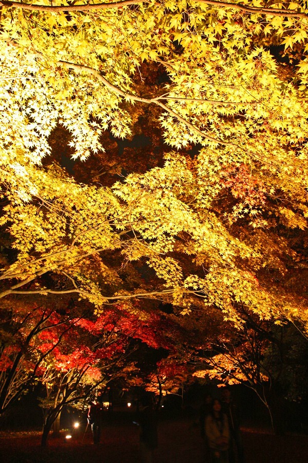 護国神社 もみじ谷