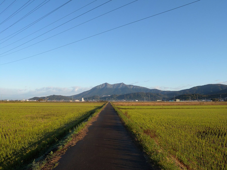 朝日を浴びた筑波山