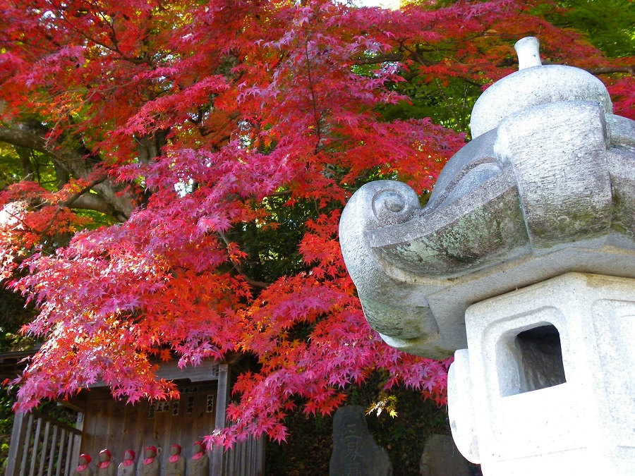 大子町・紅葉の永源寺(もみじ寺)2