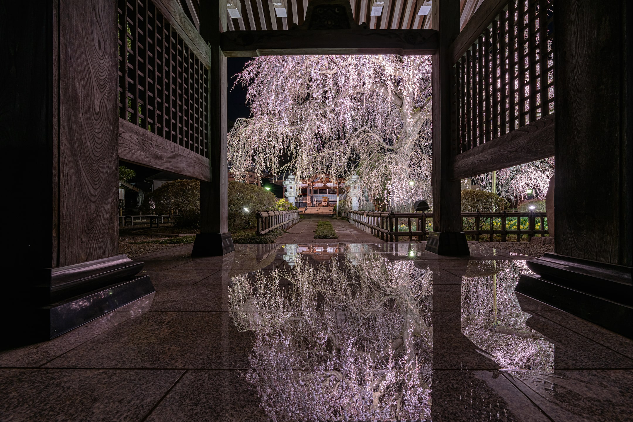 桜鏡【©Zekkei×IBARAKI2019準グランプリ 】