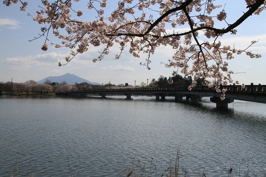 砂沼広域公園