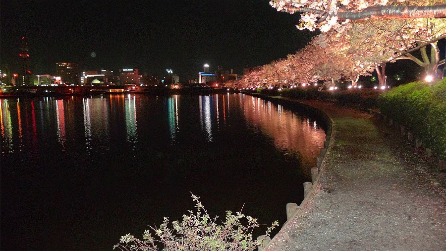 千波湖のライトアップ