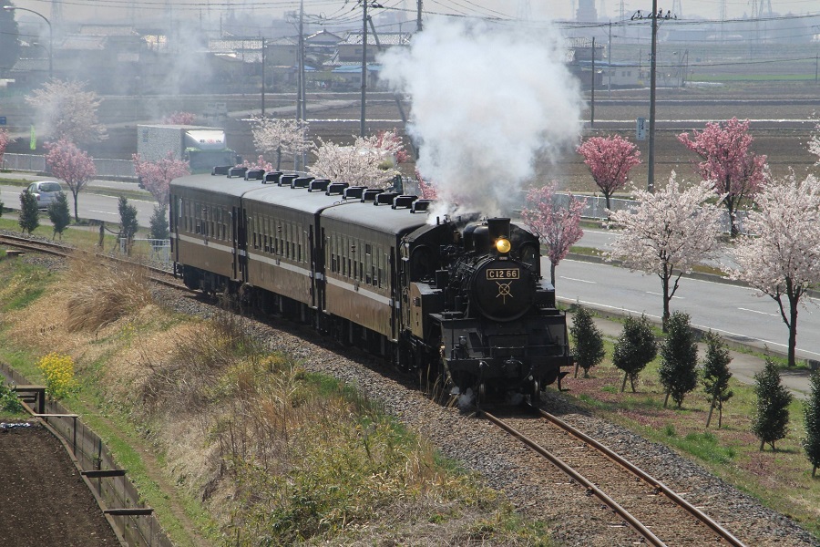 真岡鉄道・SL 3-1