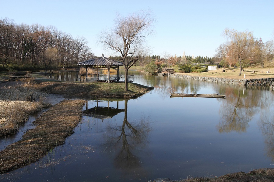 冬の公園