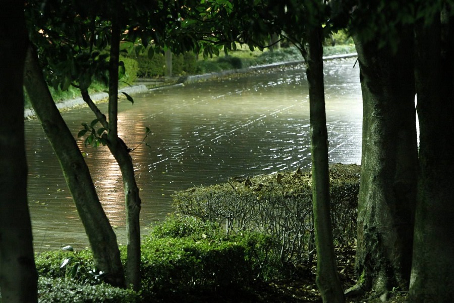 雨の赤塚公園