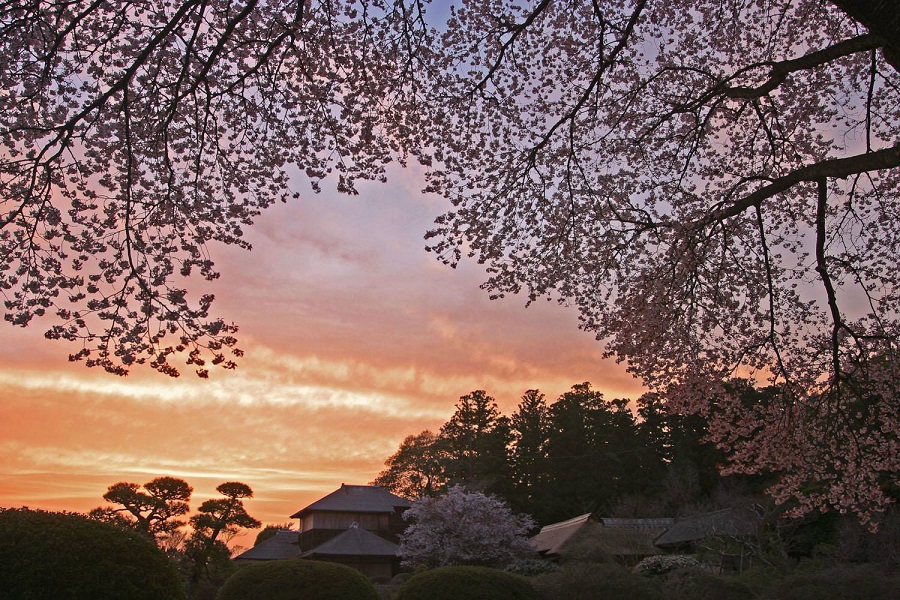 偕楽園～夕刻