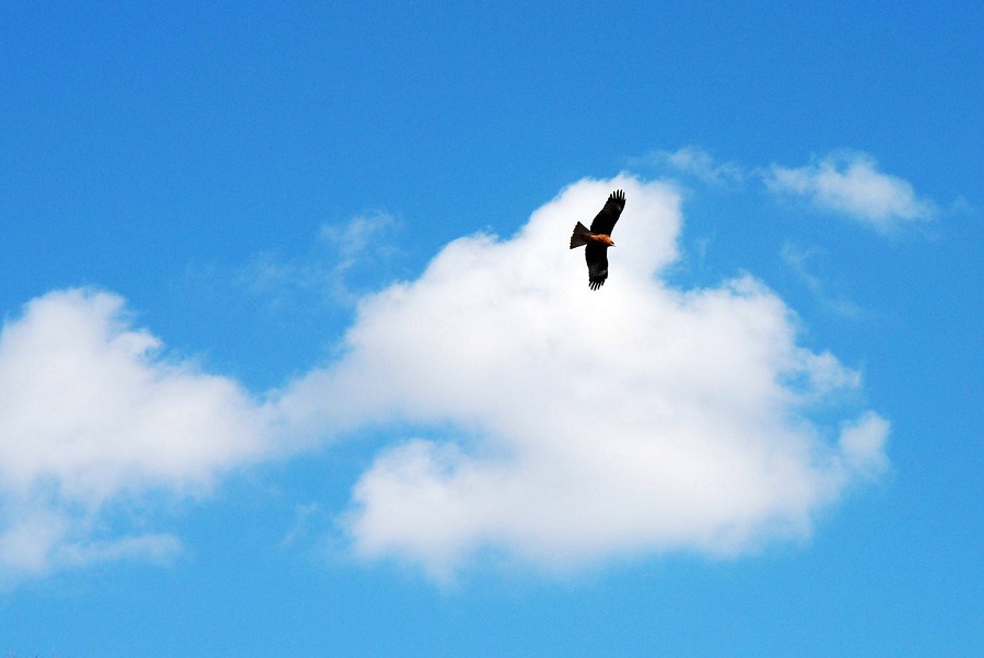 涸沼の空