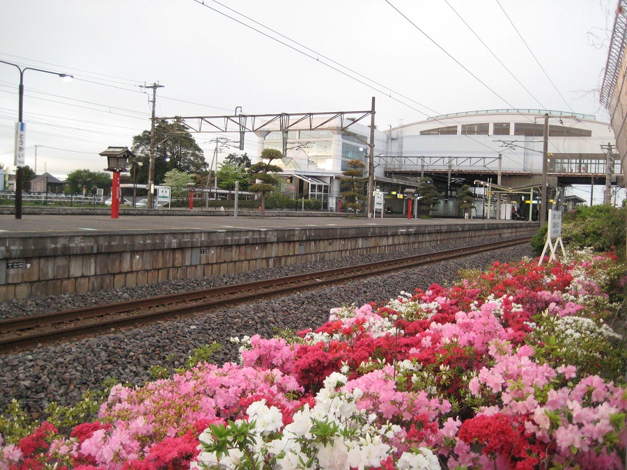 駅舎とつつじ