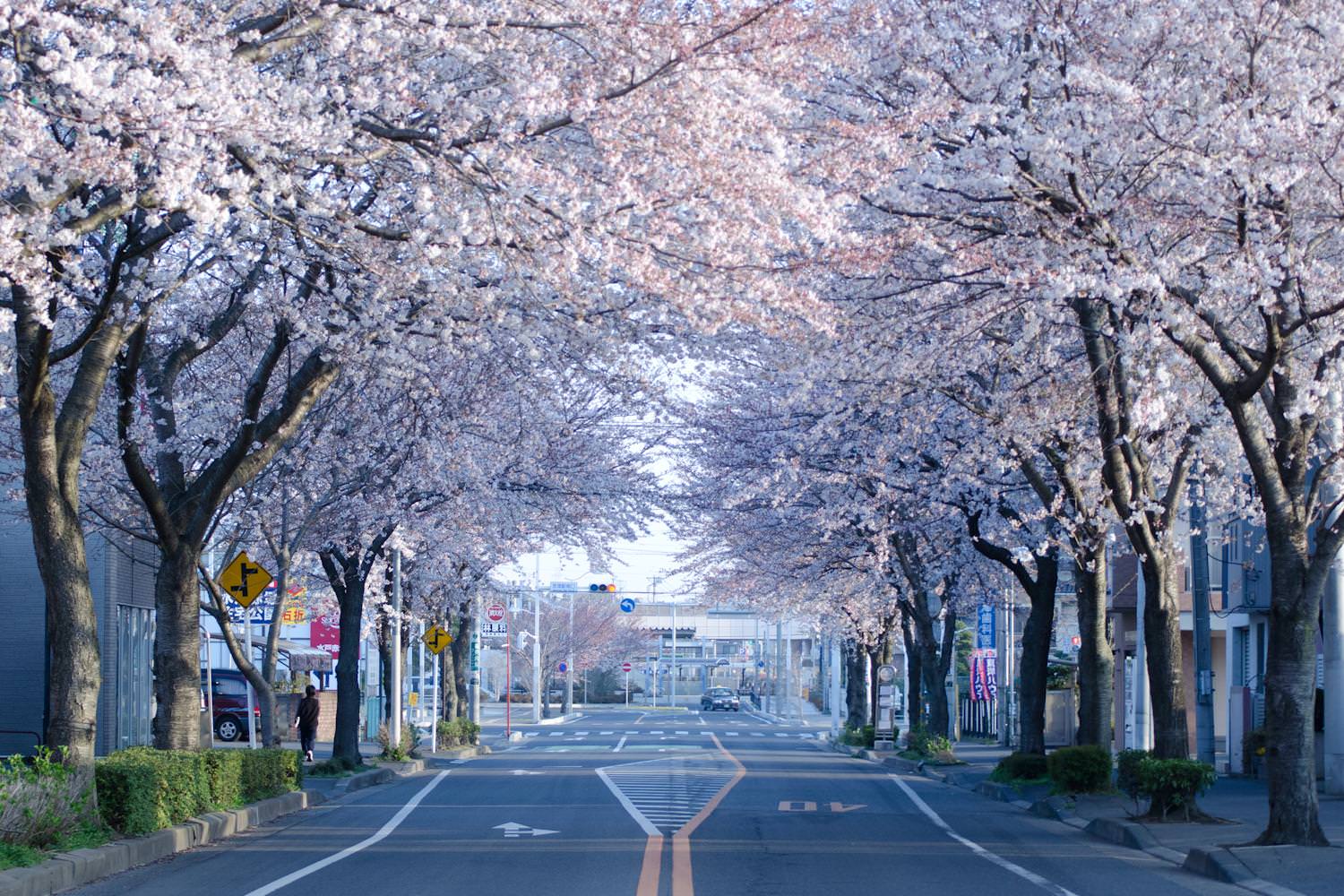 JR赤塚駅南口1