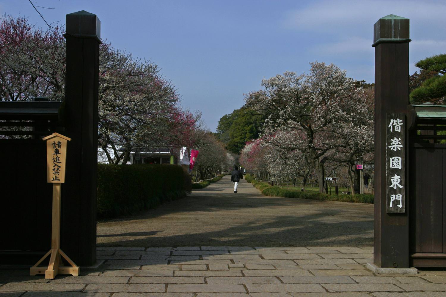 朝の偕楽園