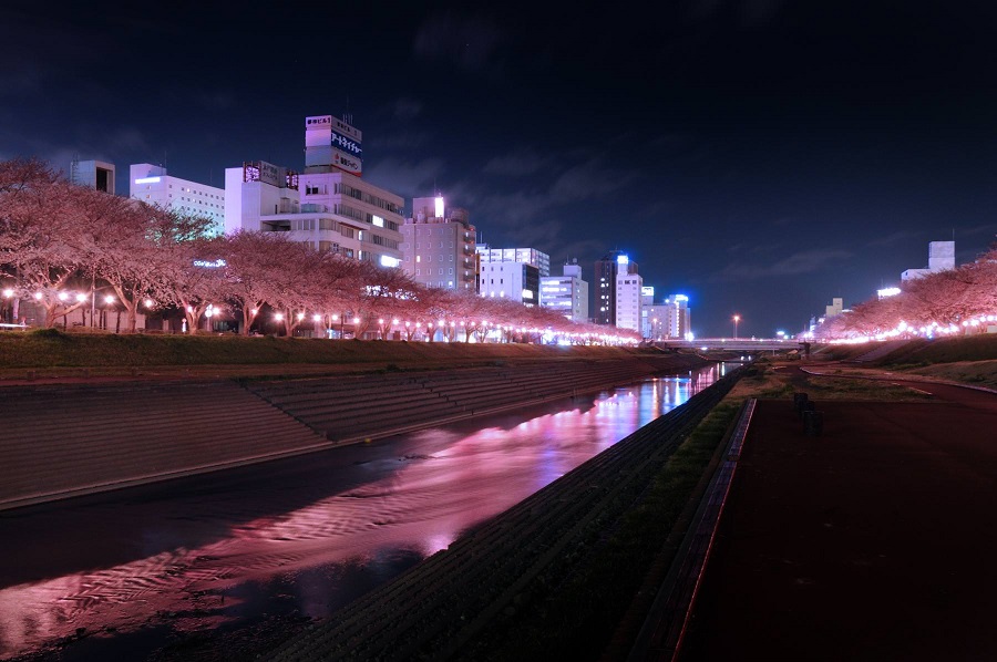 桜川・ボンボリ装飾（駅南桜川小橋～美都里橋間）