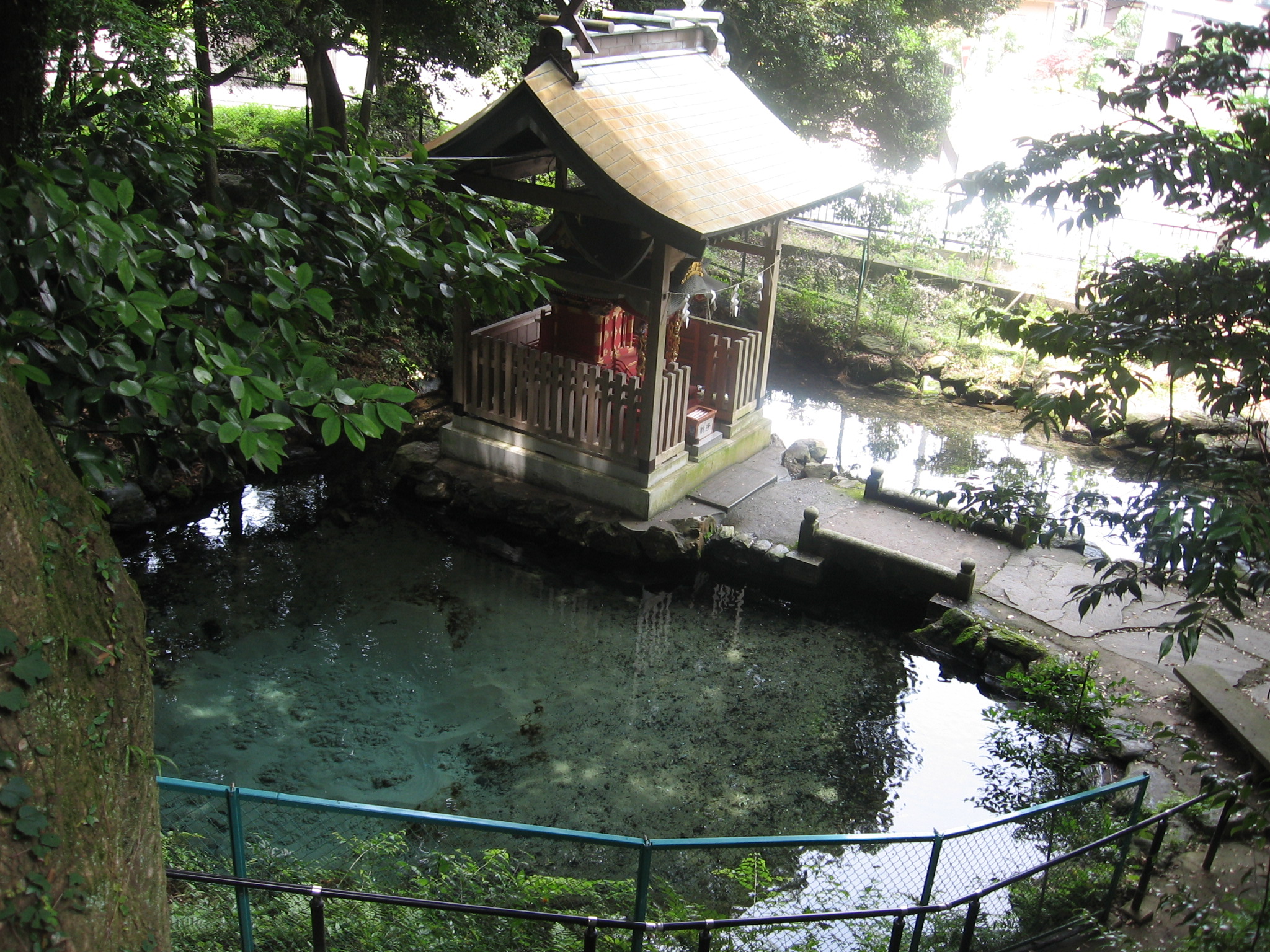 泉が森 泉神社 (イトヨの里 泉が森公園)