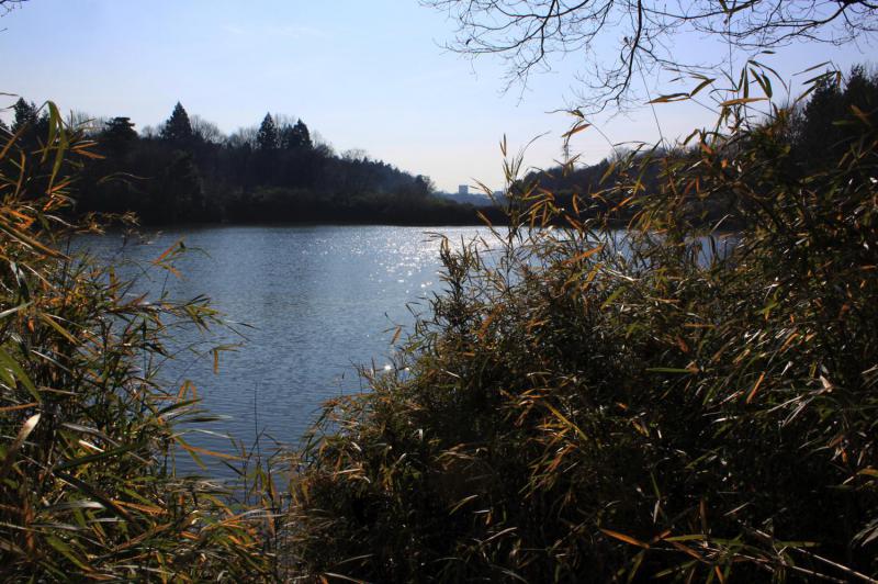 蛇沼公園