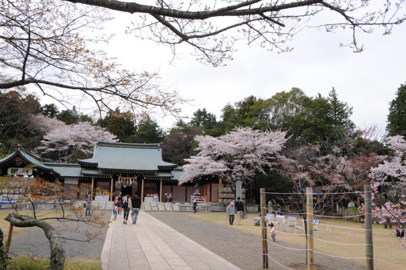 桜山・護国神社