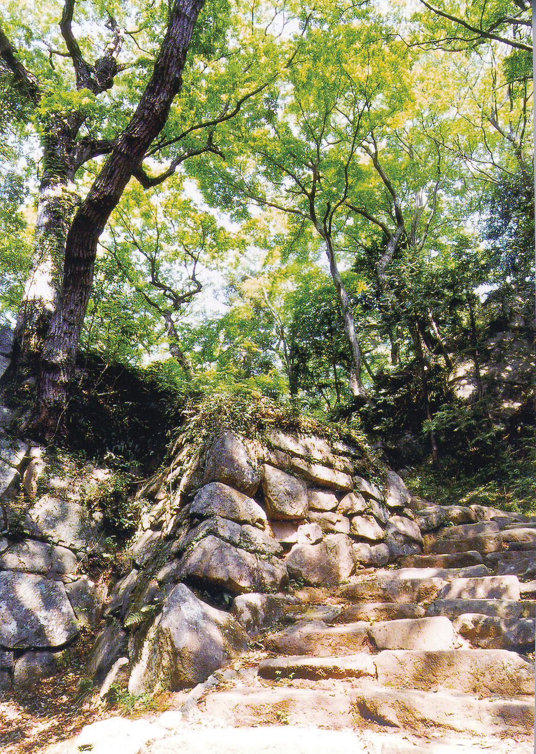 佐白山城趾公園