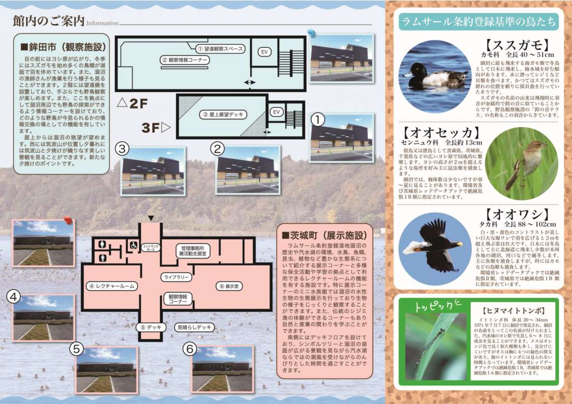 涸沼水鳥・湿地センター（展示施設）