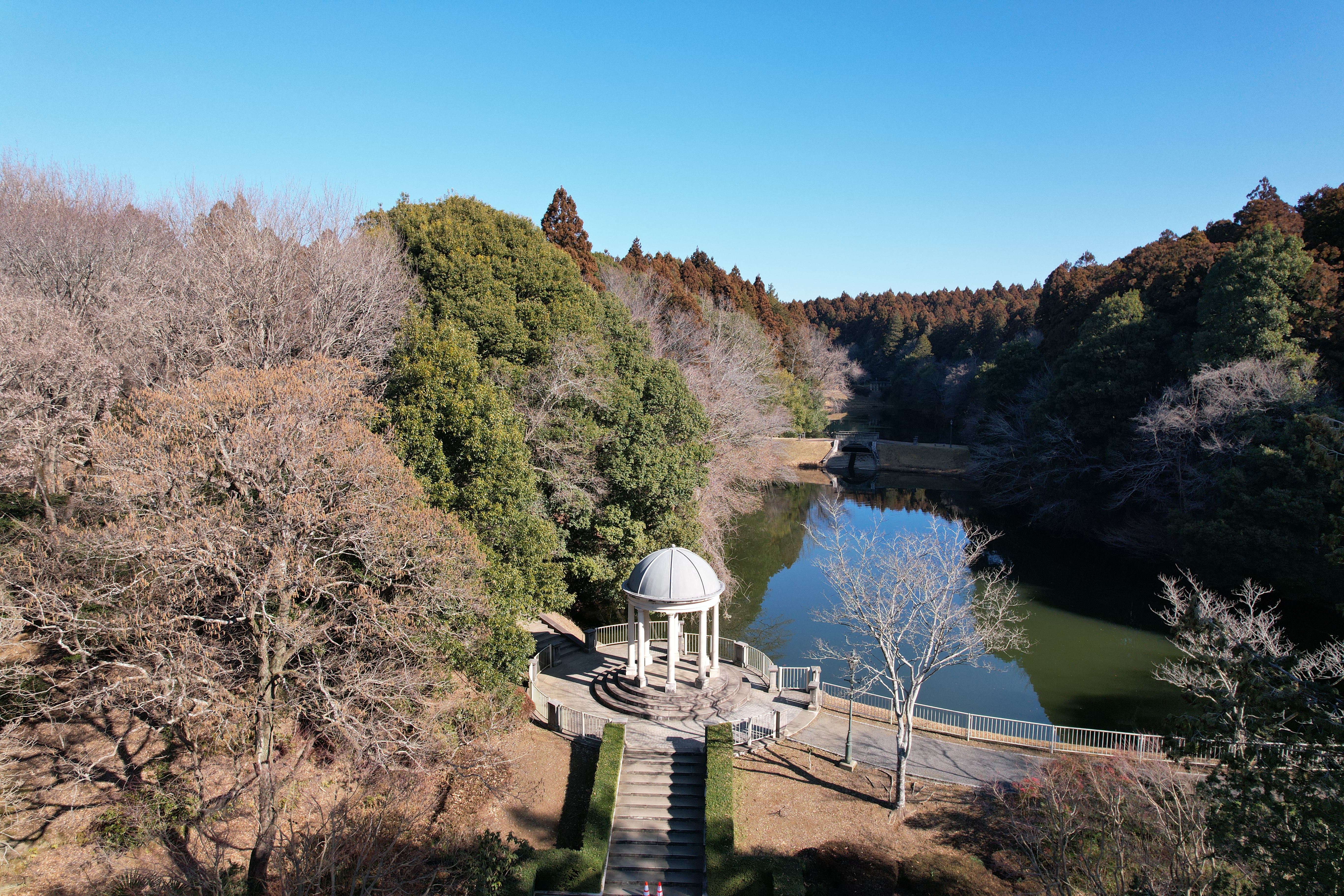 七ツ洞公園