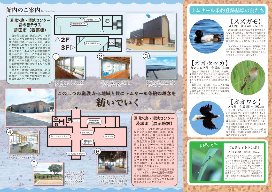 涸沼水鳥・湿地センター（展示施設）