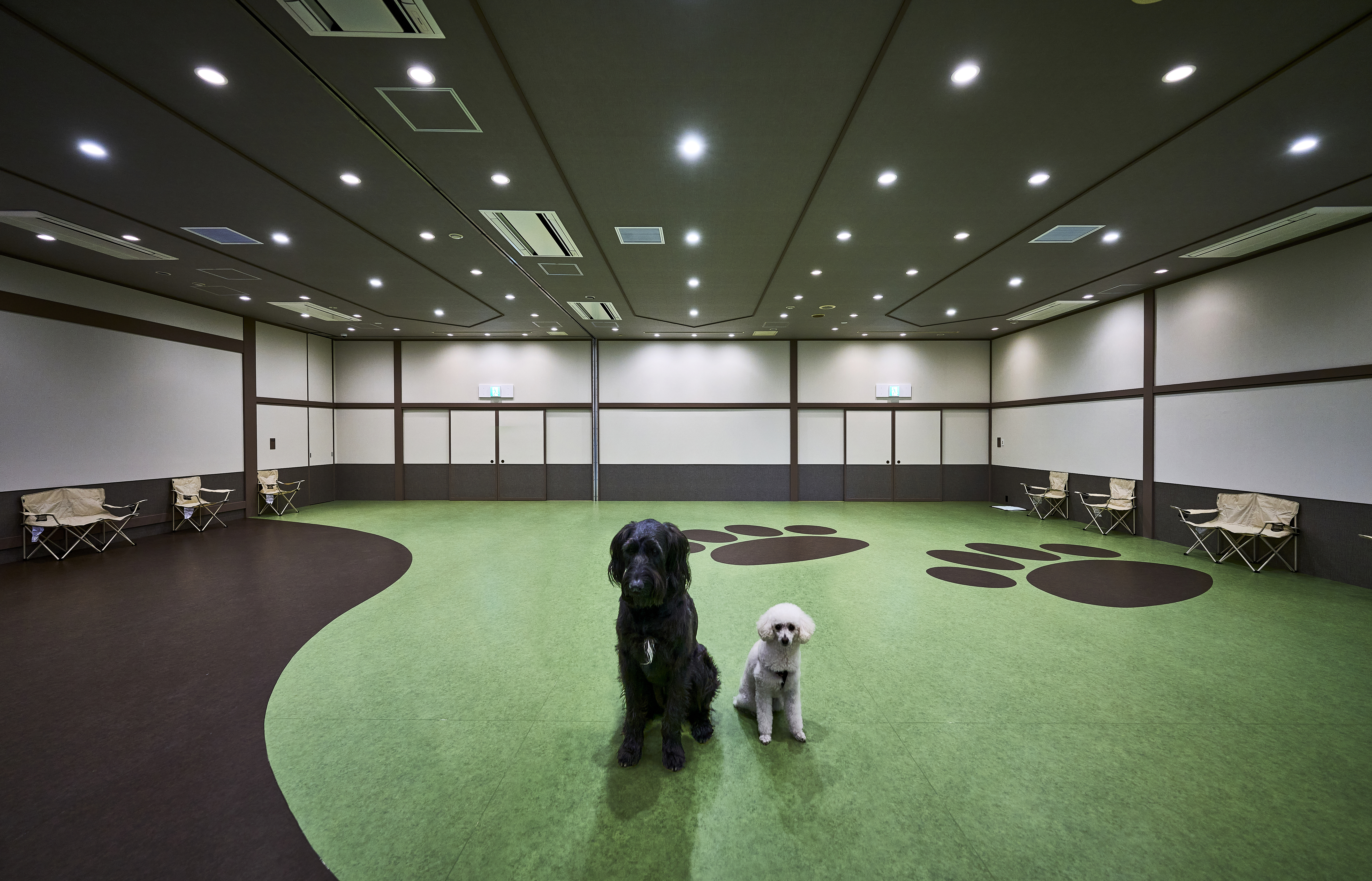 Doggy's Coast Oarai