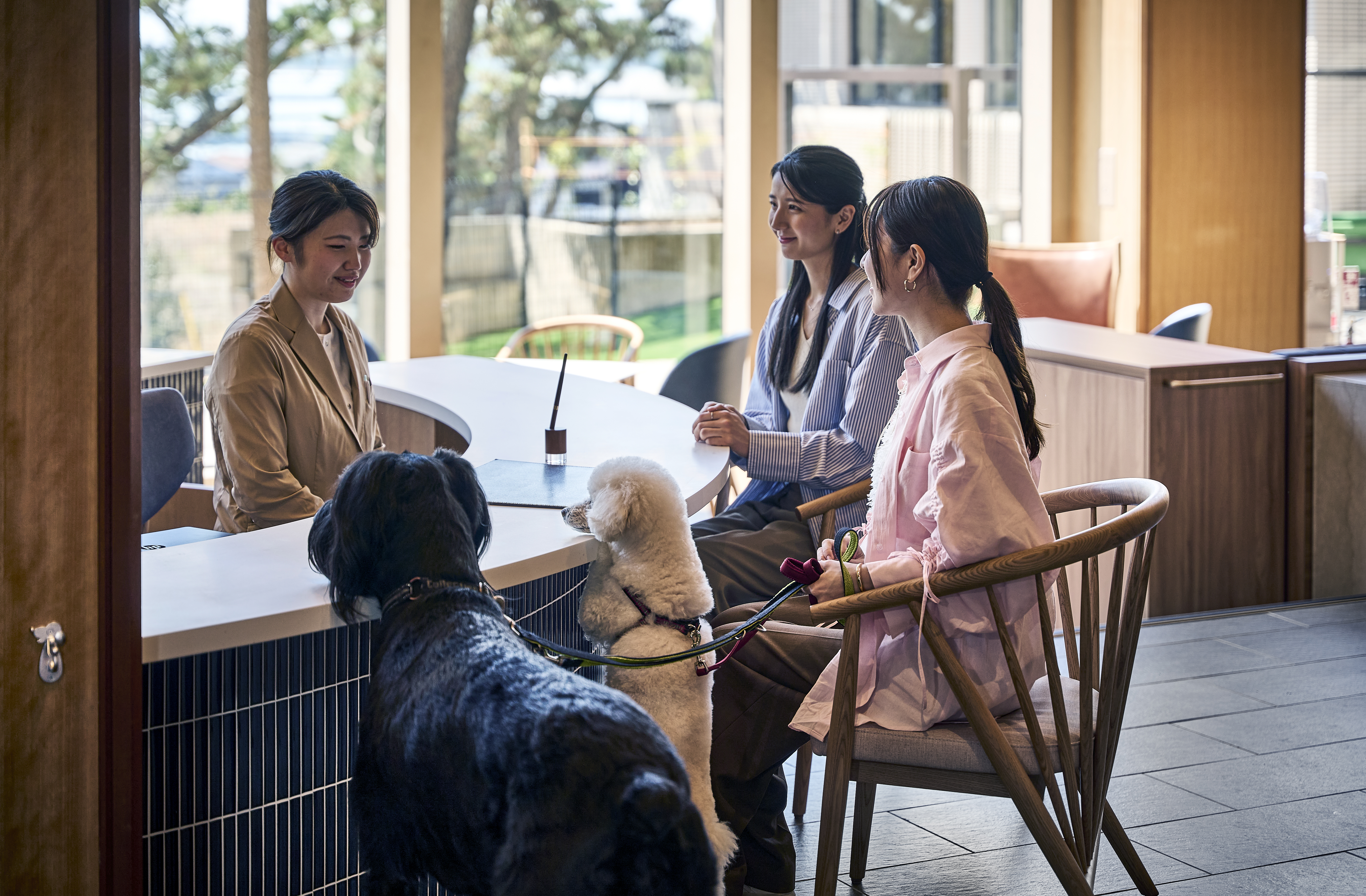 Doggy's Coast Oarai