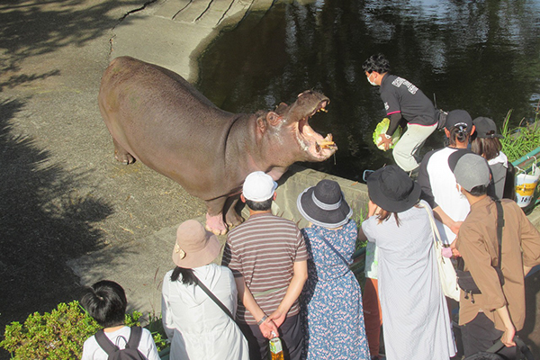 かみね動物園