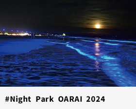 Night Park OARAI 2024