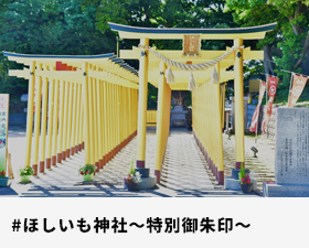 ほしいも神社～特別御朱印～